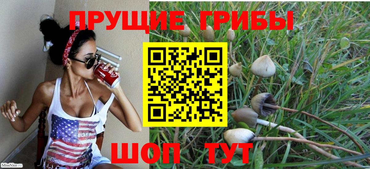 Псилоцибиновые грибы Psilocybe Похвистнево