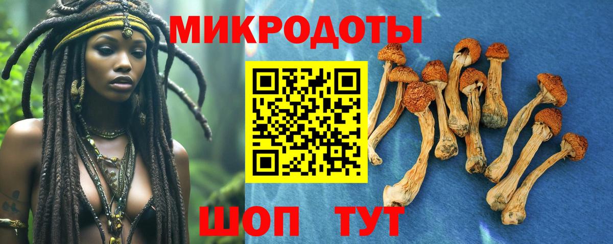 закладки  Псилоцибиновые грибы прущие грибы  Вход с VPN  Похвистнево 